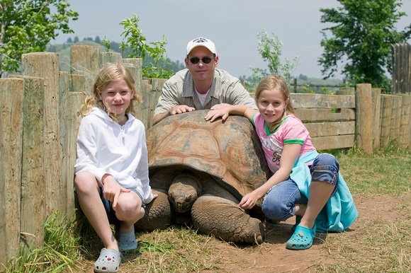 120 year old tortoise
