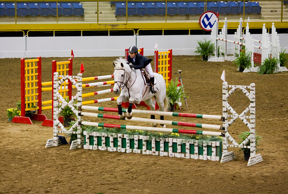 Stock Show Horse Jumping