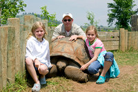 120 year old tortoise